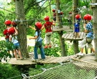 Treetop Obstacle Course