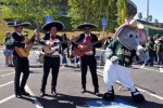 At the Oakland A's Fiesta Day