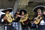 At the Oakland A's Fiesta Day