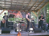 Tweed Brothers Band