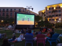Twilight Features