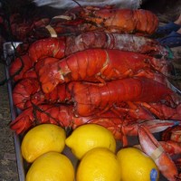 Twisted Oak Food Company - Caterer in Chicago, Illinois