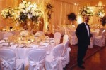 ROOM DESIGN/ WEDDING DESIGN/FLORALS