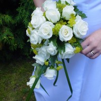 Videography by Dennis Armato - Videographer in Laguna Niguel, California