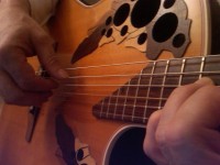 Vinny Stefanelli - Guitarist in Erie, Pennsylvania