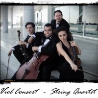 Viol Consort String Quartet - Violinist in Brownsville, Texas