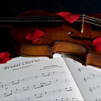 Violin by Jennifer Campbell - Violinist in Norfolk, Virginia