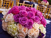 Virtuous Creations Inc. Wedding and Events