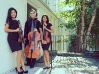 Vivace String Trio