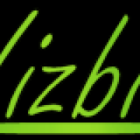 Vizbiz Promotional Solutions - Party Invitation Printer in , 