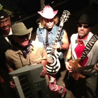 Voices Carry - Real Band Karaoke - Cover Band in Durham, North Carolina