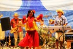 Professional Hula Dancers