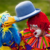Wacky Jack The Clown - Unique & Specialty in Lewiston, Idaho
