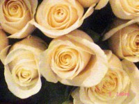 Wedding/Event Planner - Event Florist in , 