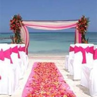 Weddings by Dianna - Event Planner in Sarasota, Florida