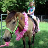 Whispering Hope Farm - Unique & Specialty in Gastonia, North Carolina