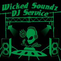 Wicked Soundz DJ Service - Wedding DJ in Des Moines, Iowa