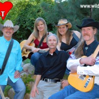 Wild Heart - Americana Band in Loves Park, Illinois
