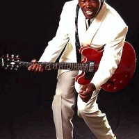 Will Glover Johnny B Goode - Tribute Artist in Huntington Beach, California