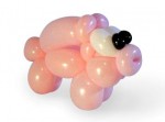 Piggy Piggy