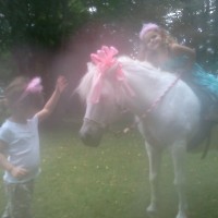 Wind Dance Party Ponies - Pony Party in Bensalem, Pennsylvania
