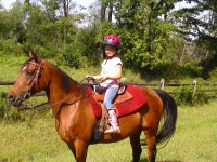 Wind in the Woods Farm - Educational Entertainment in Wooster, Ohio