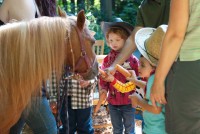 Wish Upon a Pony