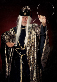 The Wizard of Why