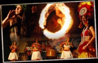 Wolfgramm Entertainment - Steel Drum Band in Deltona, Florida