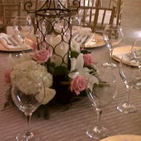 Www.lepartyrentalzone.com - Limo Services Company in Pasadena, Texas