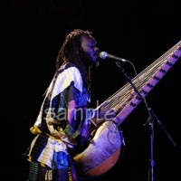 Youssoupha Sidibe Kora Player - Bands & Groups in Agawam, Massachusetts