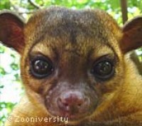 Zooniversity -- The Teaching Zoo - Educational Entertainment in Wylie, Texas