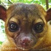 Zooniversity -- The Teaching Zoo