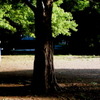 Akira_kosemura