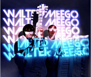 Walter_meego_604pxvoyager_lores_cover
