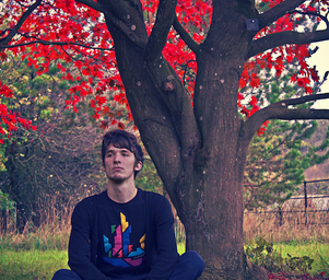 Eleven_tigers_11twestonbirt