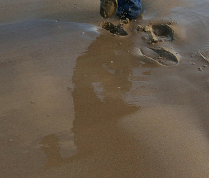 Vitalis_popoff_imgp4423copy