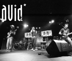 Avid__live_sw