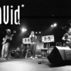 Avid__live_sw