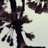 Nebulo_b768booklet4