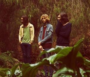Tame_impala