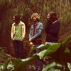 Tame_impala