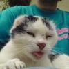 Jellica_m_a2f5ae8a48255fcb248e8736bcb4