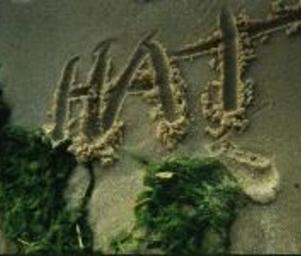 The_hat_10532