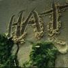 The_hat_10532