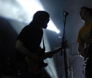 Bats_besthwch08nma004