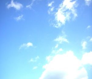 Paniyolo_20081008_386552