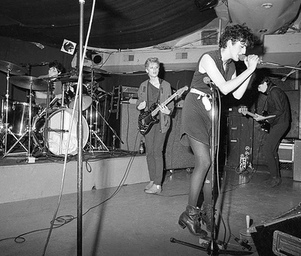 Bush_tetras_tetras1