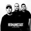 Hermannstadt_collective_2