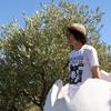 Ben_nash_img_0694